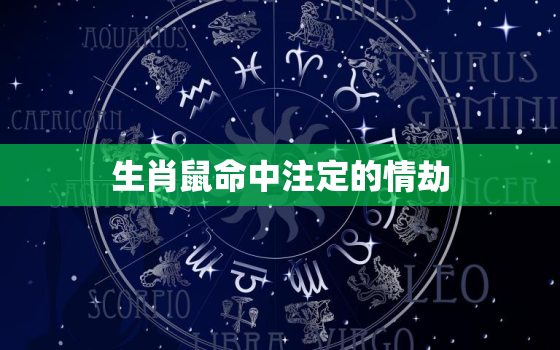 生肖鼠命中注定的情劫，属鼠命中注定的情人