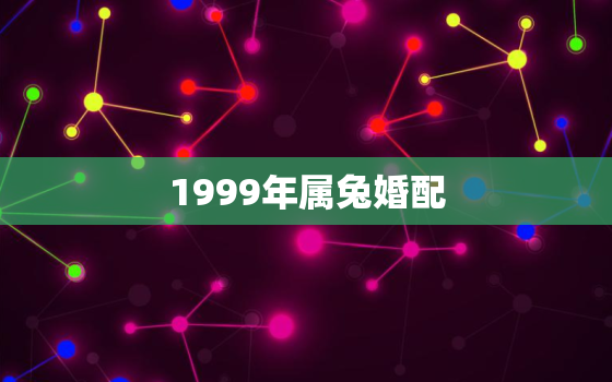 1999年属兔婚配，1999年属兔婚配鸡怎么样