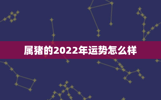 属猪的2022年运势怎么样，95属猪的2022年运势怎么样