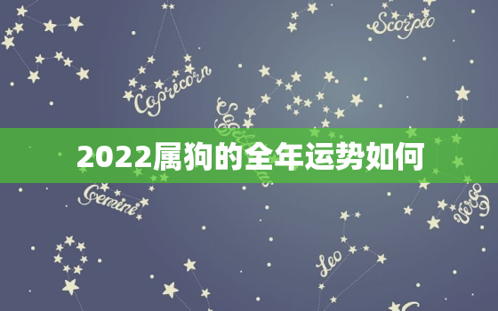 2022属狗的全年运势如何，2022年属狗运势详解