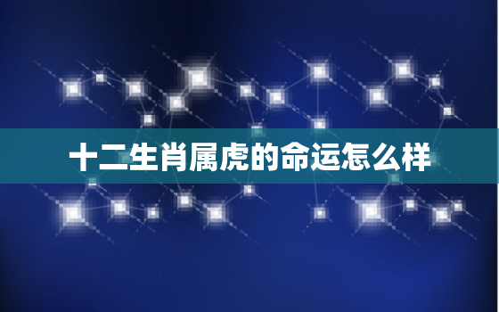 十二生肖属虎的命运怎么样，属虎的一生怎么样