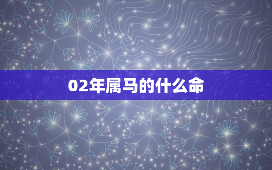 02年属马的什么命，2002年的属马的是什么命