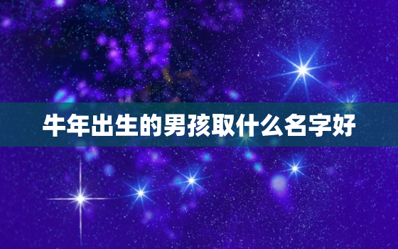 牛年出生的男孩取什么名字好，牛年男宝的名字取什么好呢