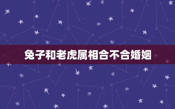 兔子和老虎属相合不合婚姻，属兔的和属老虎的婚姻相配吗