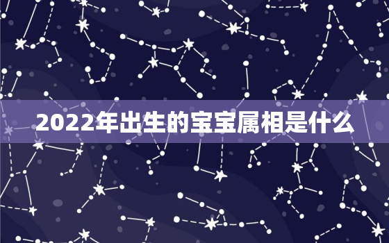 2022年出生的宝宝属相是什么，2022年出生的宝宝五行