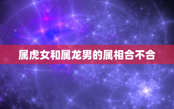 属虎女和属龙男的属相合不合，属龙男和属虎女合适吗