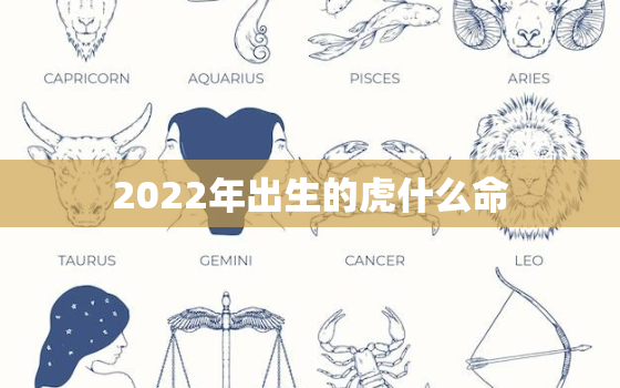 2022年出生的虎什么命，2022年什么虎什么命