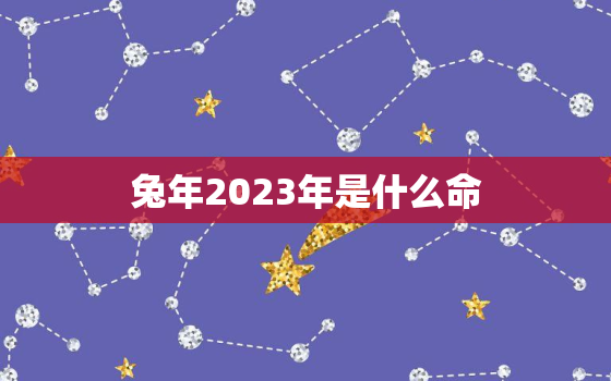 兔年2023年是什么命，2023年兔宝宝什么命