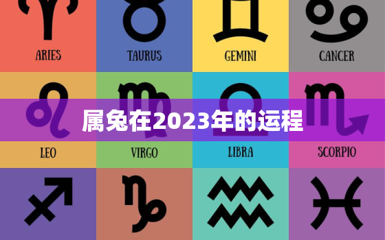 属兔在2023年的运程，属兔人2023年运势及财运