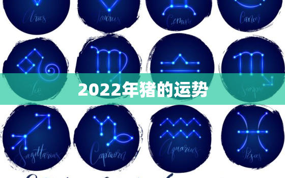 2022年猪的运势，属猪2022年的运势及运程