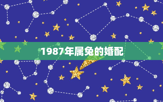 1987年属兔的婚配，1987年属兔的婚配表