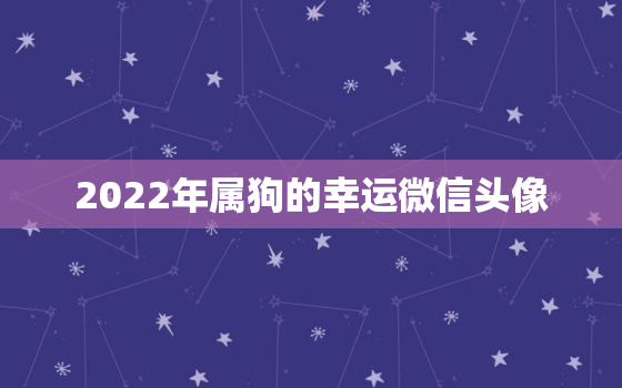 2022年属狗的幸运微信头像，2021年属狗的幸运微信头像