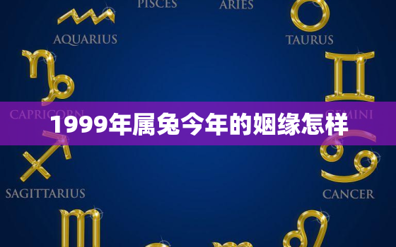 1999年属兔今年的姻缘怎样，99年属兔今年感情状况