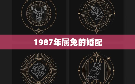 1987年属兔的婚配，1987年属兔的婚配女