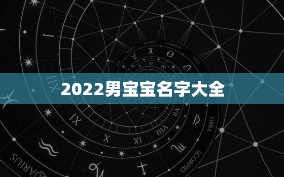 2022男宝宝名字大全，2022年男宝宝名字