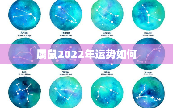 属鼠2022年运势如何，2022年属鼠的运势