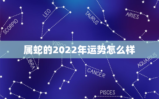 属蛇的2022年运势怎么样，2022年属蛇运势详解