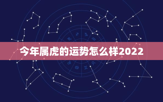 今年属虎的运势怎么样2022，2022属虎的运势及运程