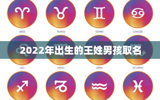 2022年出生的王姓男孩取名，2021王姓宝宝取名字大全