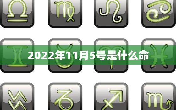 2022年11月5号是什么命，2020年11月5日出生的宝宝是什么命