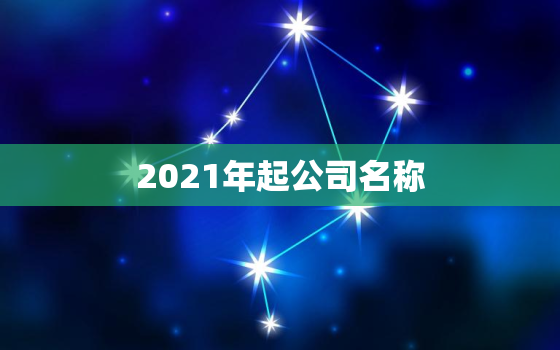 2021年起公司名称，公司起名字