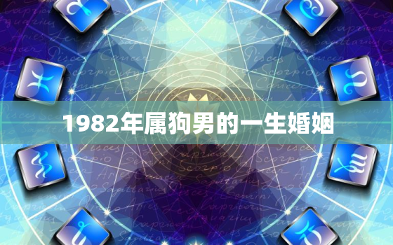 1982年属狗男的一生婚姻，1982年男狗一生的婚姻和命运