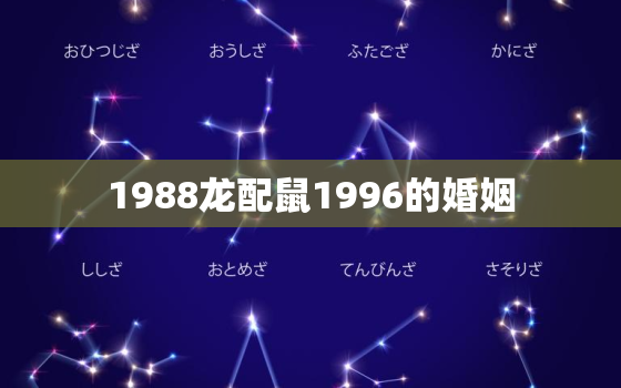 1988龙配鼠1996的婚姻，1988属龙男和1996属鼠女婚姻