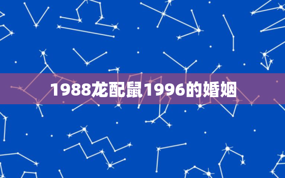 1988龙配鼠1996的婚姻，1988属龙男和1996属鼠女婚姻