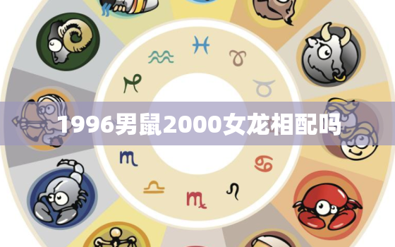 1996男鼠2000女龙相配吗，2000年属龙女和1996年属鼠男配吗