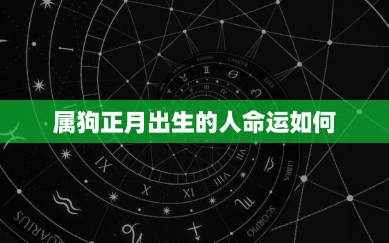 属狗正月出生的人命运如何，狗年正月出生的命运怎么样