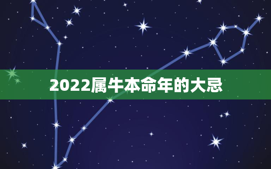 2022属牛本命年的大忌，2021牛年本命年要注意什么