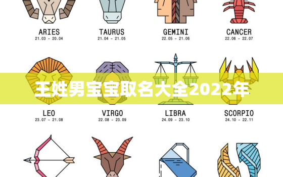 王姓男宝宝取名大全2022年，王姓男孩子取名字大全