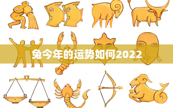 兔今年的运势如何2022，兔今年的运势如何2020女