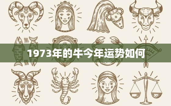 1973年的牛今年运势如何，1973属牛明年运势