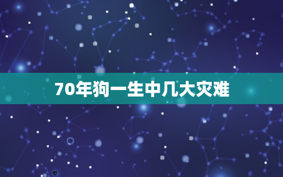 70年狗一生中几大灾难，70年属狗的一生命运