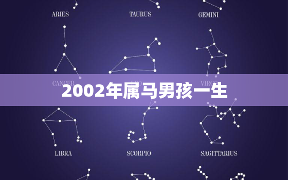 2002年属马男孩一生，2002年属马的男孩出生命运