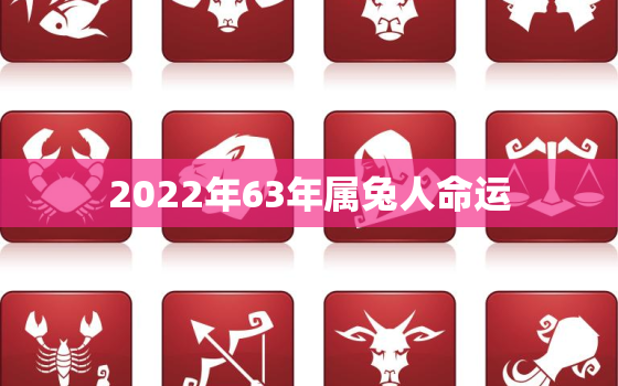 2022年63年属兔人命运，63年属兔人2021年运程