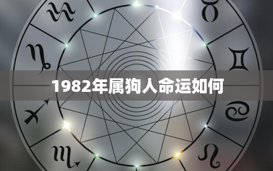 1982年属狗人命运如何，1982年出生属狗的人命运详解