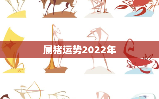 属猪运势2022年，属猪人2022年全年运势