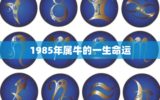 1985年属牛的一生命运，属牛人1985年出生命运