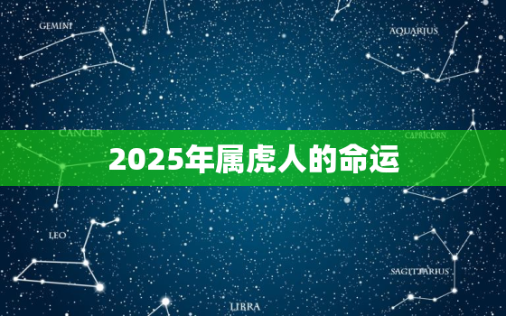 2025年属虎人的命运，2022年属虎人命运