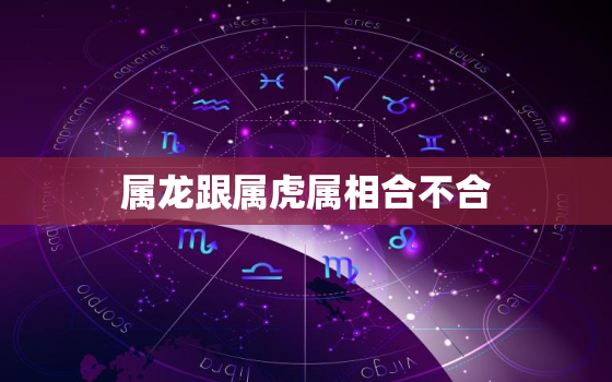 属龙跟属虎属相合不合，属龙和虎的属相合不合