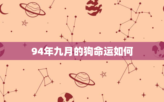 94年九月的狗命运如何，94年八月的狗是什么命