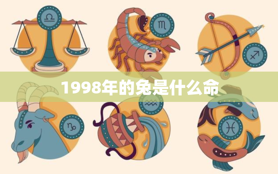 1998年的兔是什么命