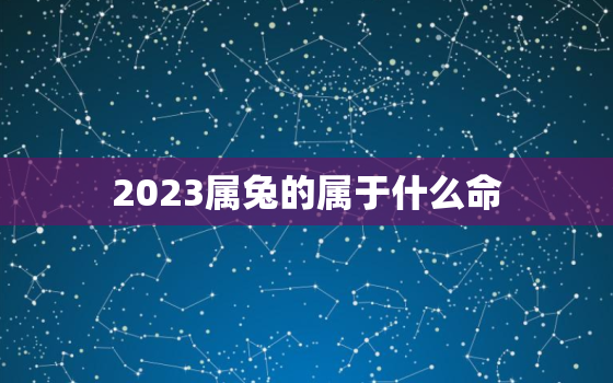 2023属兔的属于什么命