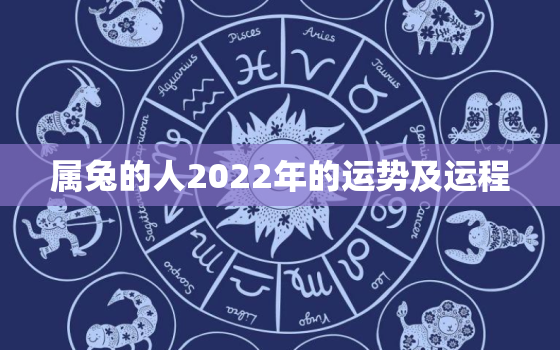 属兔的人2022年的运势及运程