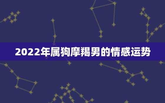 2022年属狗摩羯男的情感运势