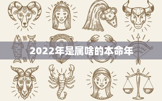 2022年是属啥的本命年，生肖表十二顺序