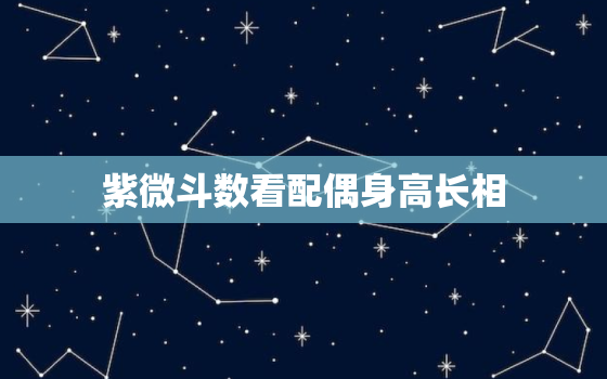 紫微斗数看配偶身高长相，紫微斗数看配偶身材长相