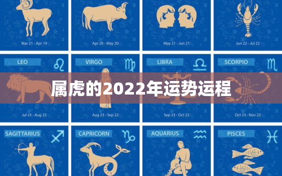 属虎的2022年运势运程